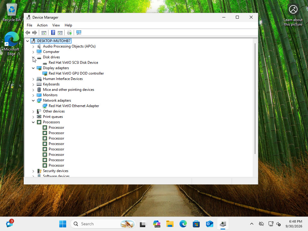 Device Manager inside the guest: VirtIO disk, display and network