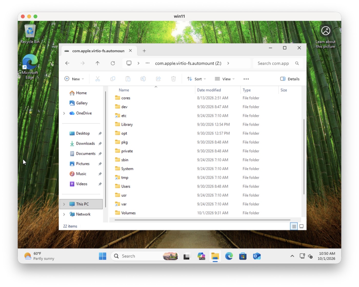 File Explorer in Windows 11 showing the Mac’s root folder as drive Z: