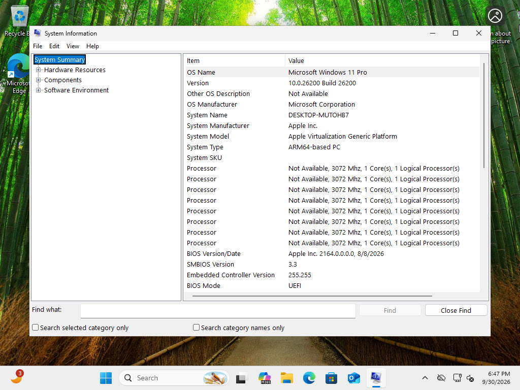 System Information: System Manufacturer Apple Inc., System Model Apple Virtualization Generic Platform